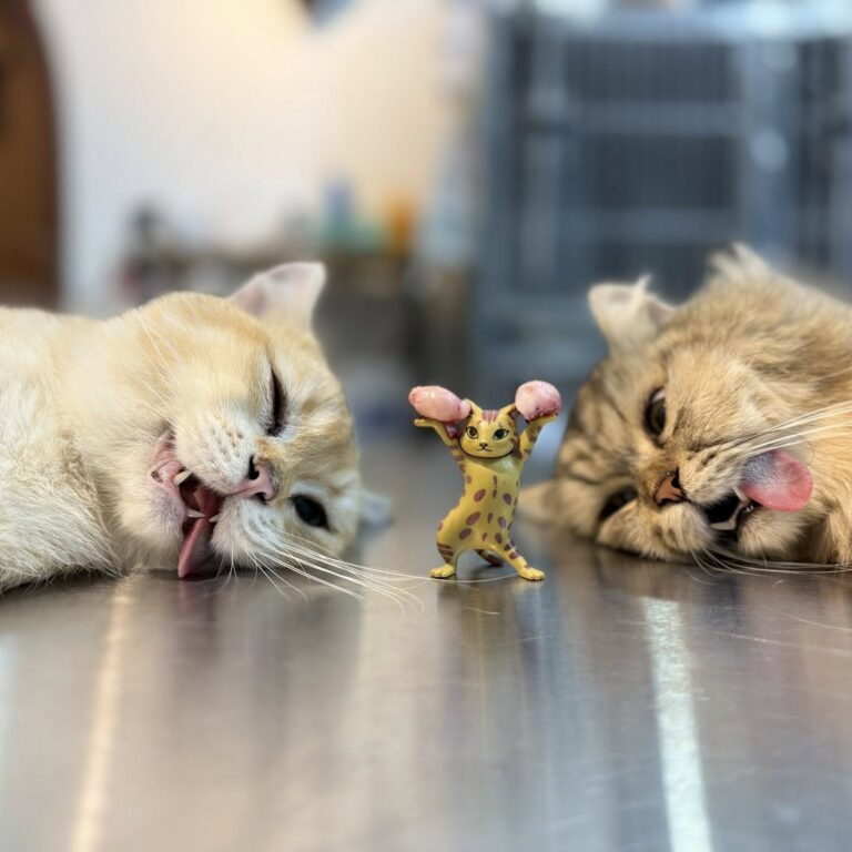 Triệt sản chó, mèo